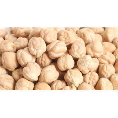 pois chiches 10 kg (sac consigné) BIO