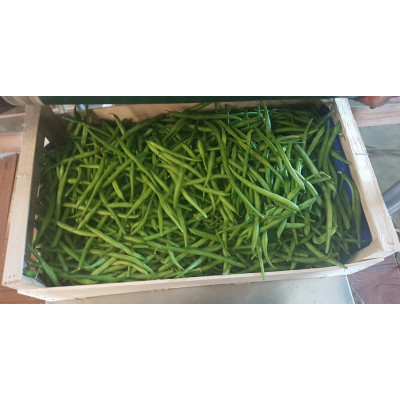Bio 4kg green beans box