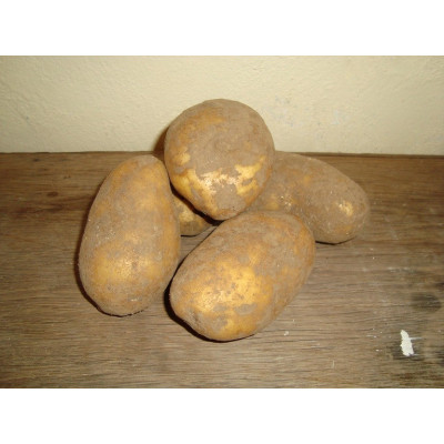 Nutta potato 2.5kg organic